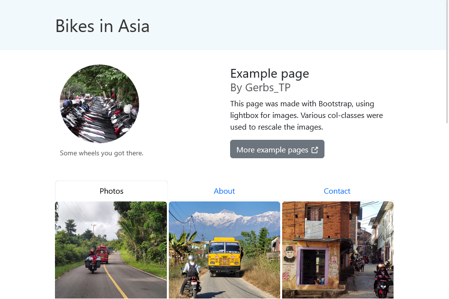 website template portfolio